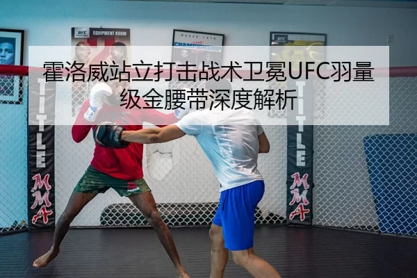 霍洛威站立打击战术卫冕UFC羽量级金腰带深度解析