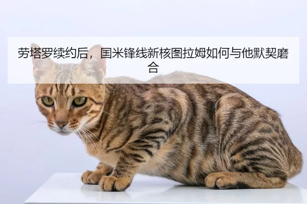 lao-ta-luo-xu-yue-hou-guo-mi-feng-xian-xin-he-tu-la-mu-ru-he-yu-ta-mo-qi-mo-he-3-704.jpg