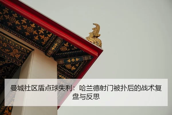 man-cheng-she-qu-dun-dian-qiu-shi-li-ha-lan-de-she-men-bei-pu-hou-de-zhan-shu-fu-pan-yu-fan-si-2-350.jpg