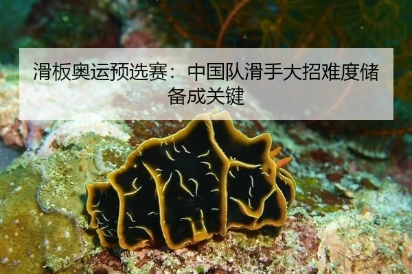 滑板奥运预选赛：中国队滑手大招难度储备成关键